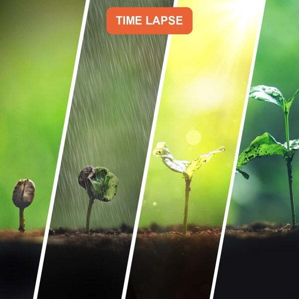 Alternative view of Rexing TL1 Time‑Lapse Camera