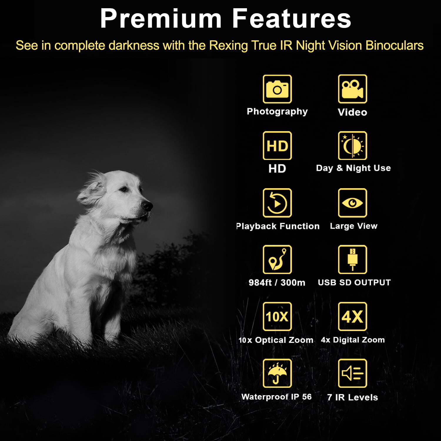 Alternative view of Rexing B1 Night Vision Goggles Binoculars