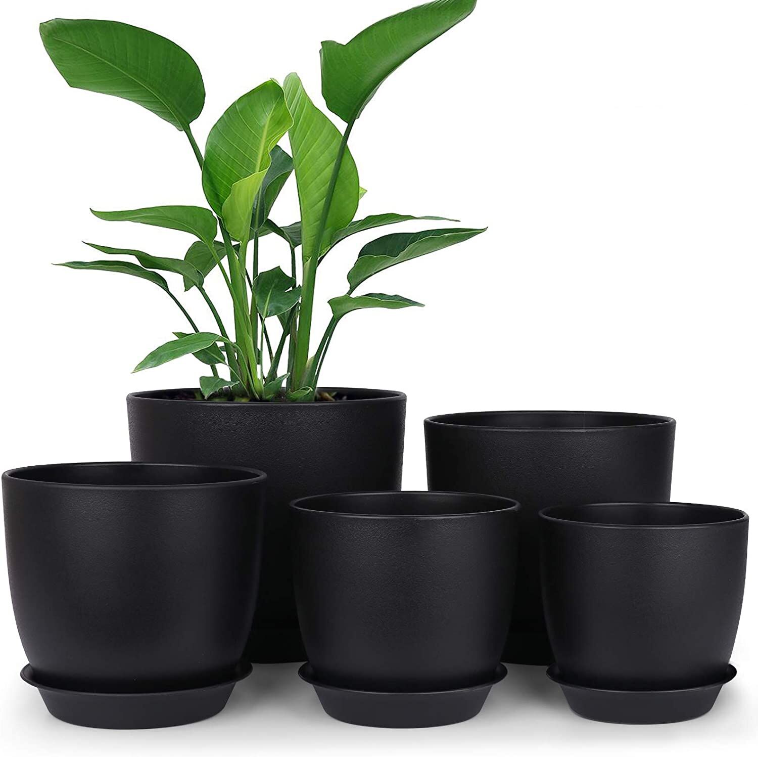Alternative view of Homenote 7″ Black Plastic Planter with Drainage & Tray