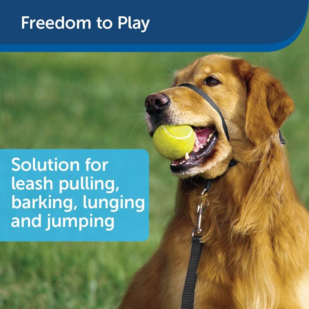 PetSafe Gentle Leader No-Pull Head Collar for Dogs - Image 2