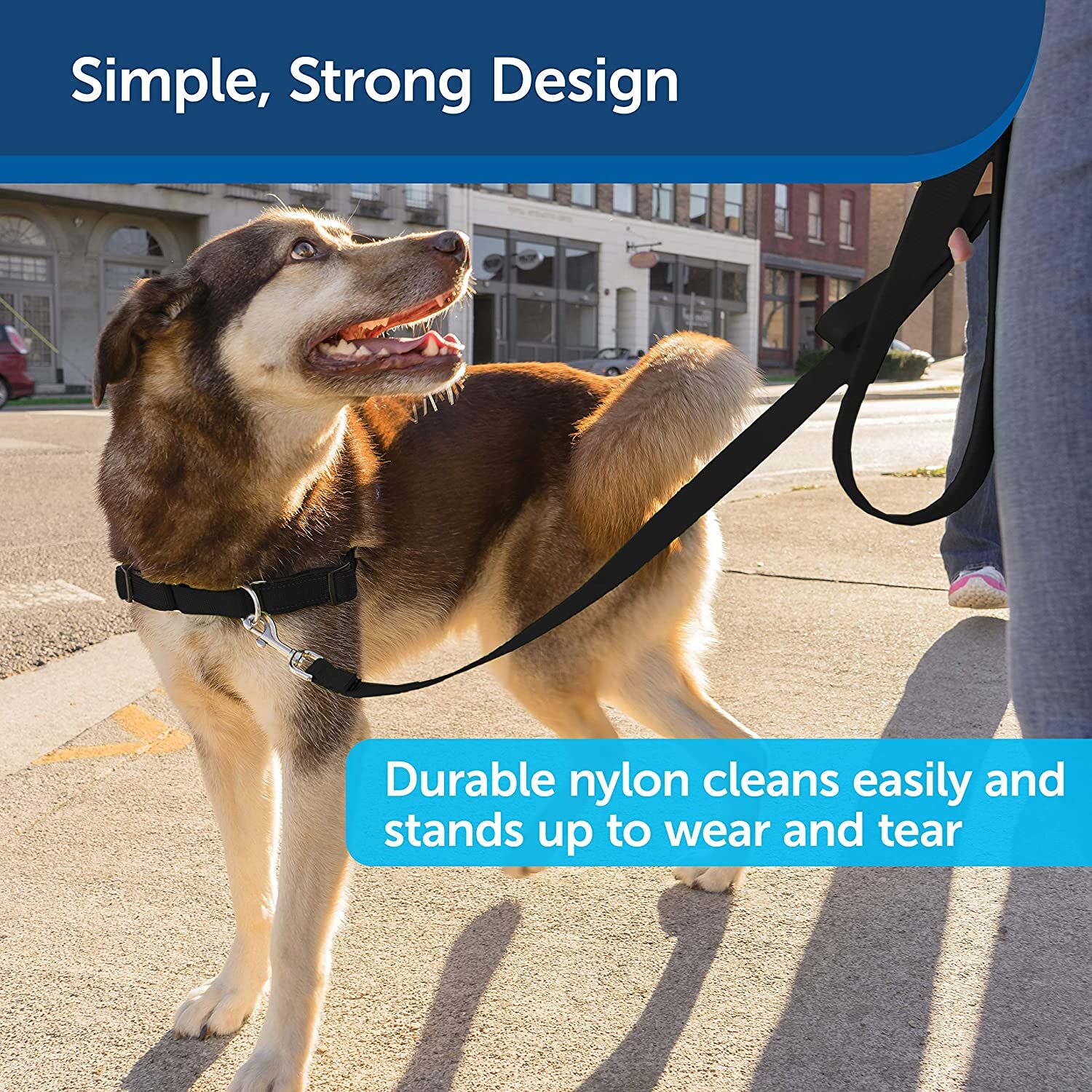 PetSafe Nylon Dog Leash, 1" x 4', Black – Durable with Bolt Snap - Image 3