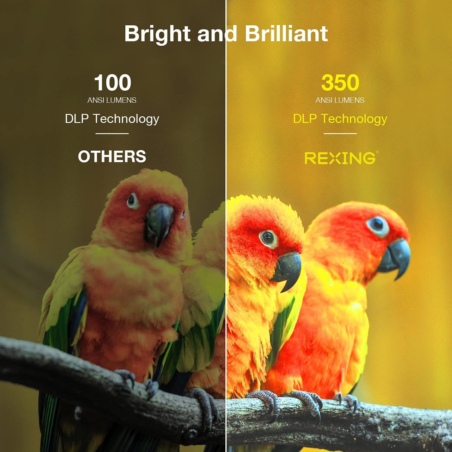 REXING PK2 Smart Projector Full HD 350 ANSI Lumens - Image 2