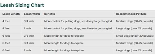 PetSafe Nylon Dog Leash, 1" x 4', Black – Durable with Bolt Snap - Image 5