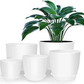Homenote Modern Plastic Planter with Drainage & Tray