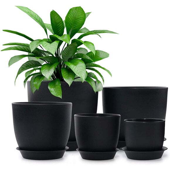 Homenote 7″ Black Plastic Planter with Drainage & Tray