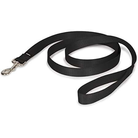 PetSafe Nylon Dog Leash, 1" x 4', Black – Durable with Bolt Snap