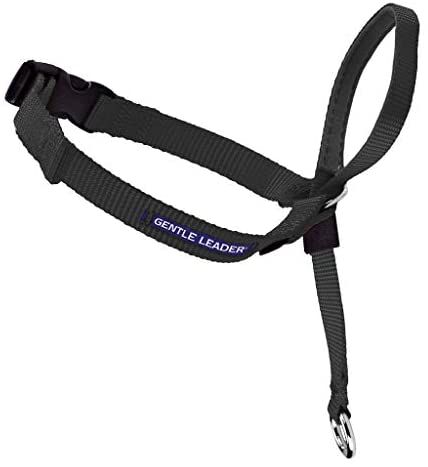 PetSafe Gentle Leader No-Pull Head Collar for Dogs