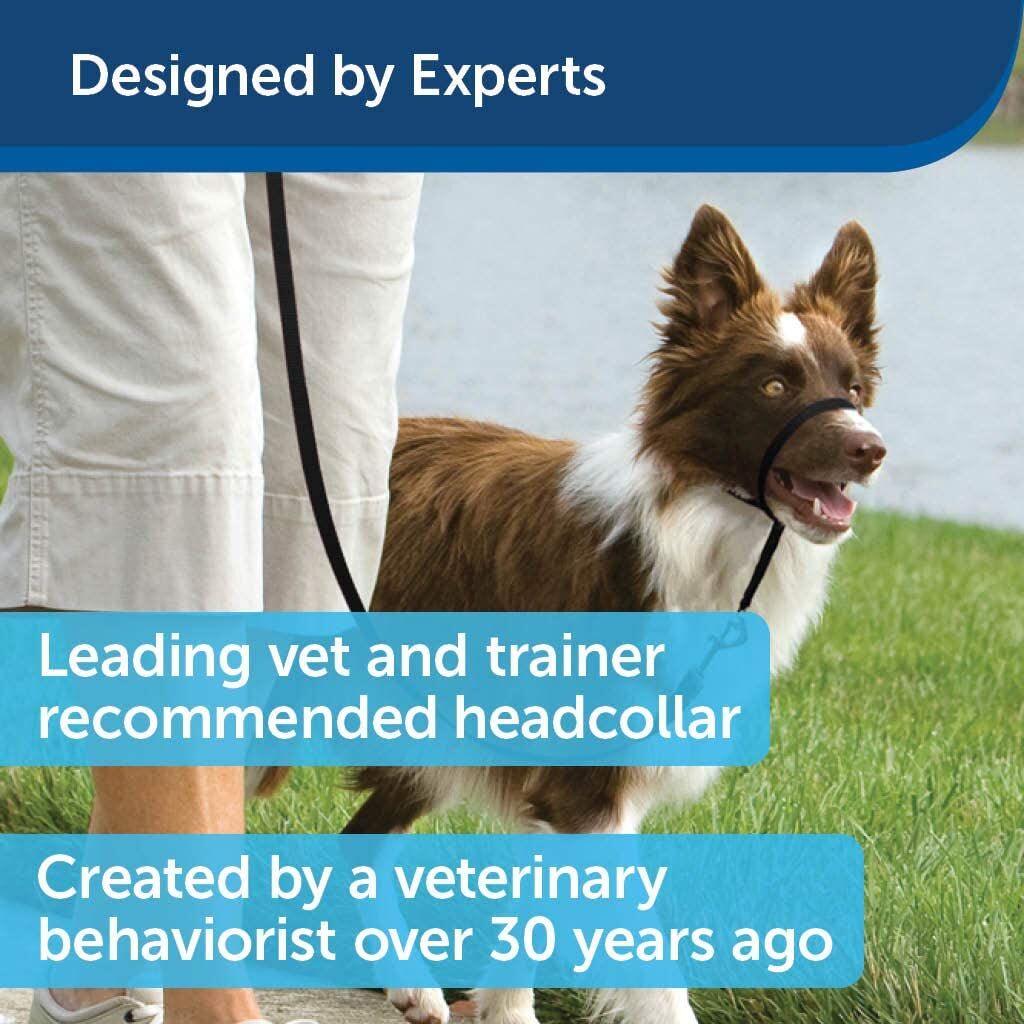 PetSafe Gentle Leader No-Pull Head Collar for Dogs - Image 3