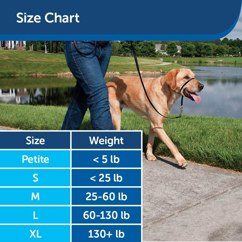 PetSafe Gentle Leader No-Pull Head Collar for Dogs - Image 5