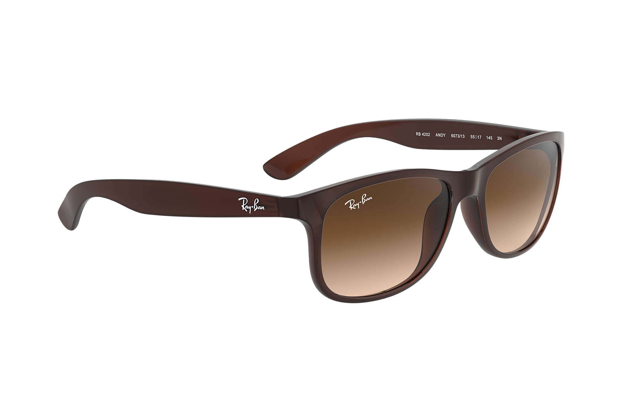 Ray-Ban Sunglasses - Image 4