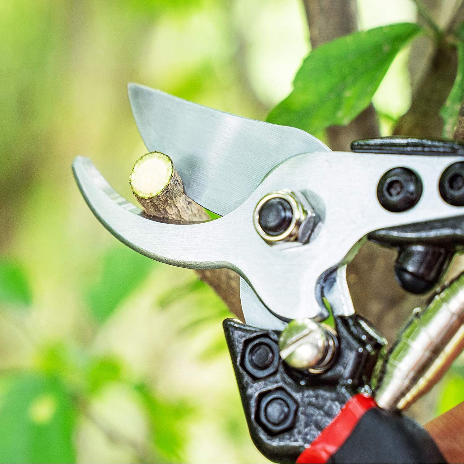 Pozzolanas 7.5" Pruning Shears Garden Clippers Plant Scissors - Image 5
