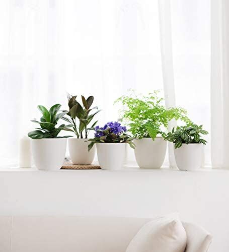 Homenote Modern Plastic Planter with Drainage & Tray - Image 4