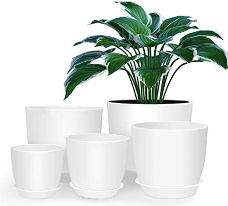 Homenote Modern Plastic Planter with Drainage & Tray