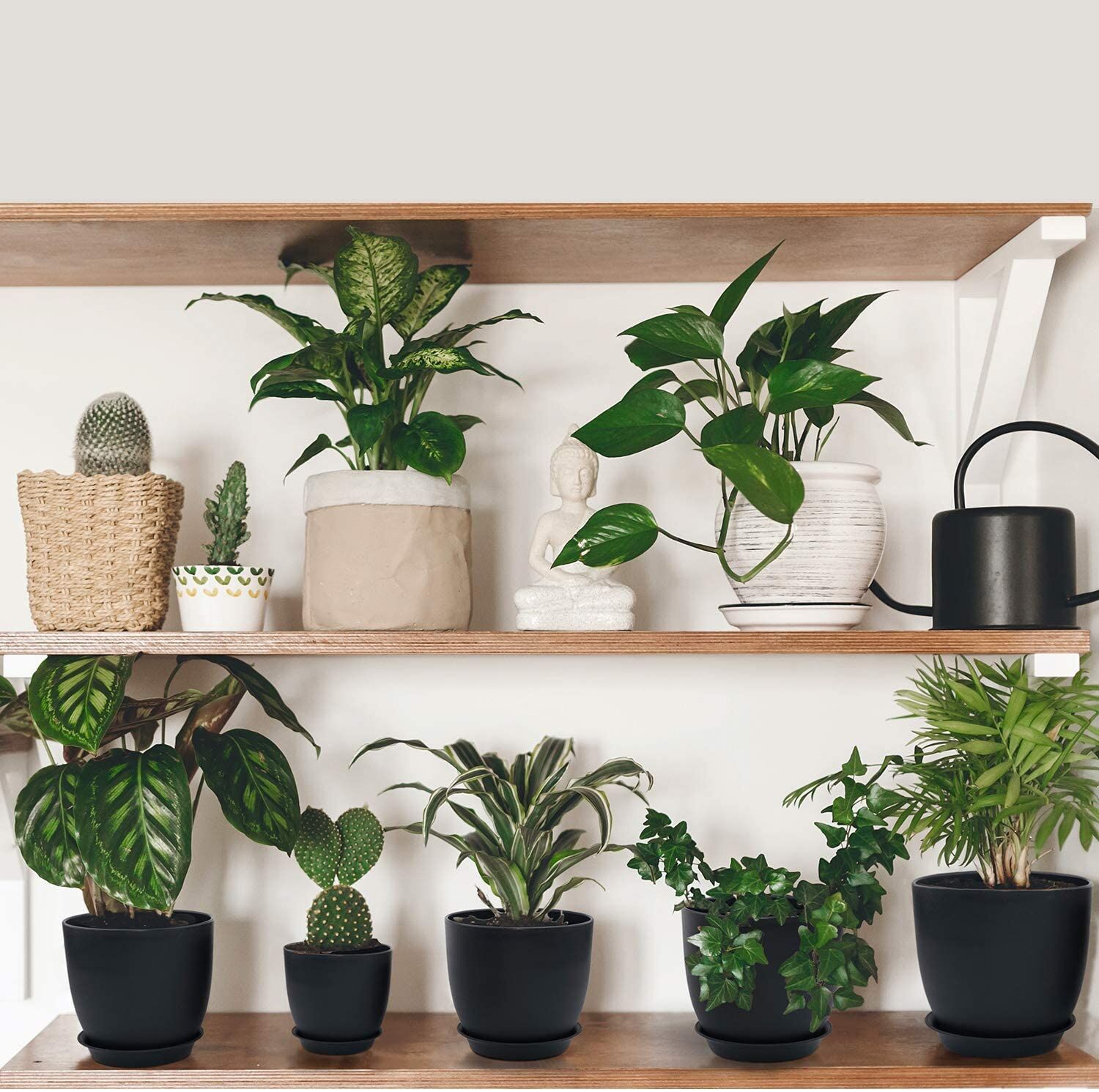 Homenote Modern Plastic Planter with Drainage & Tray - Image 5