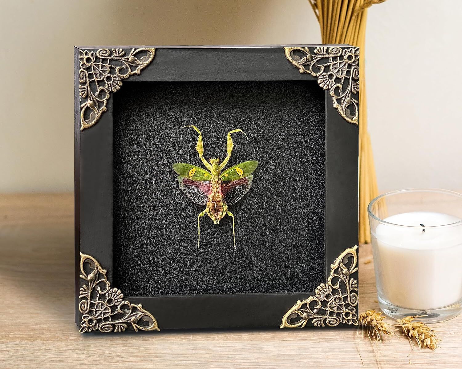 Real Framed Flower Mantis & Green Beetle Shadow Box - Image 2