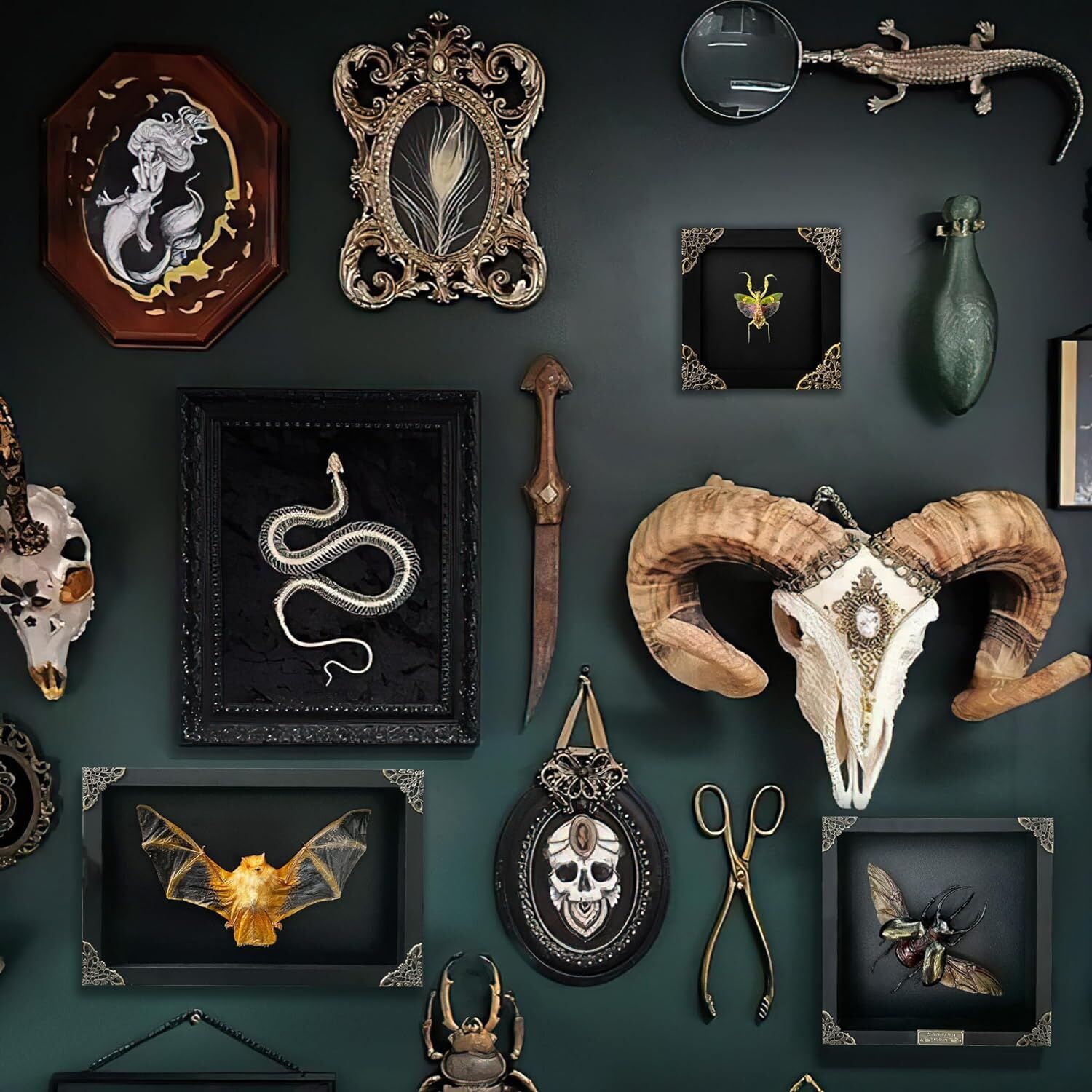 Real Framed Flower Mantis & Green Beetle Shadow Box - Image 3