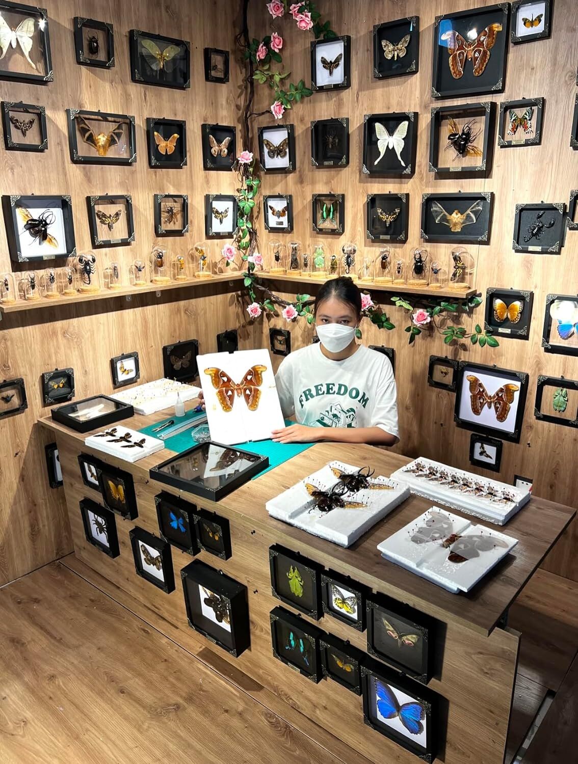 Real Framed Flower Mantis & Green Beetle Shadow Box - Image 7