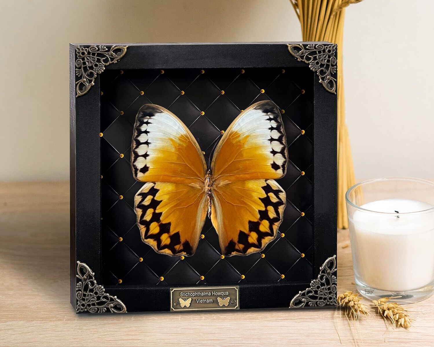 Real Butterfly Black Rhombus Frame Shadow Box - Image 2