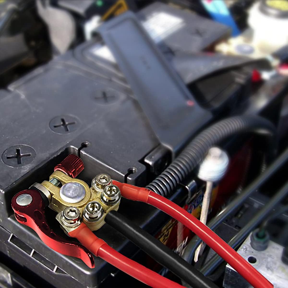 Moly Magnolia Car Battery Terminal Connectors - Image 4