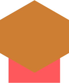 econom econom snipet