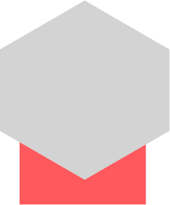 standard standard snipet