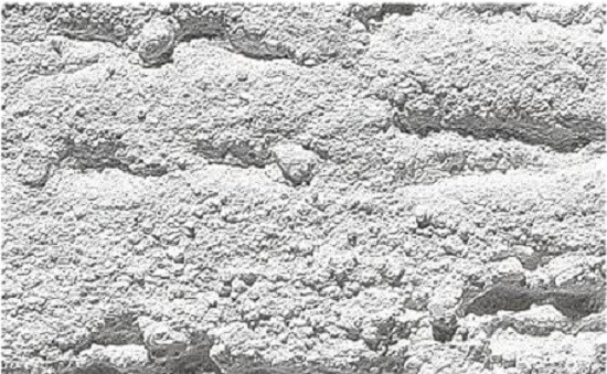 Caparol Fassadenputz scoarta de copac R30 Tencuilă decorativă Caparol Fassadenputz scoarta de copac R30