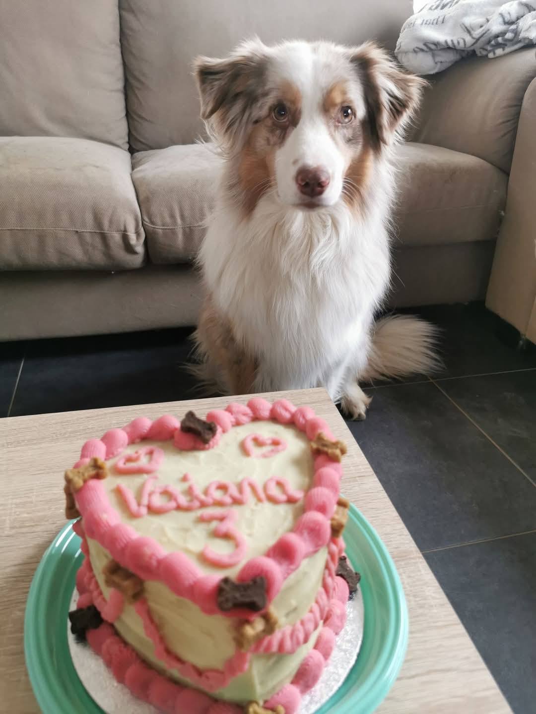 Gepersonaliseerd hondentaartje - Afbeelding 3