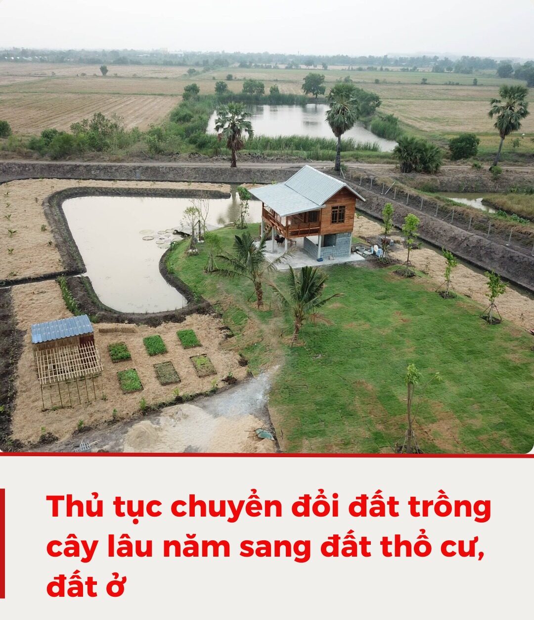 Những loại phí khi chuyển đất trồng cây lâu năm sang đất ở