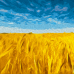 img-8