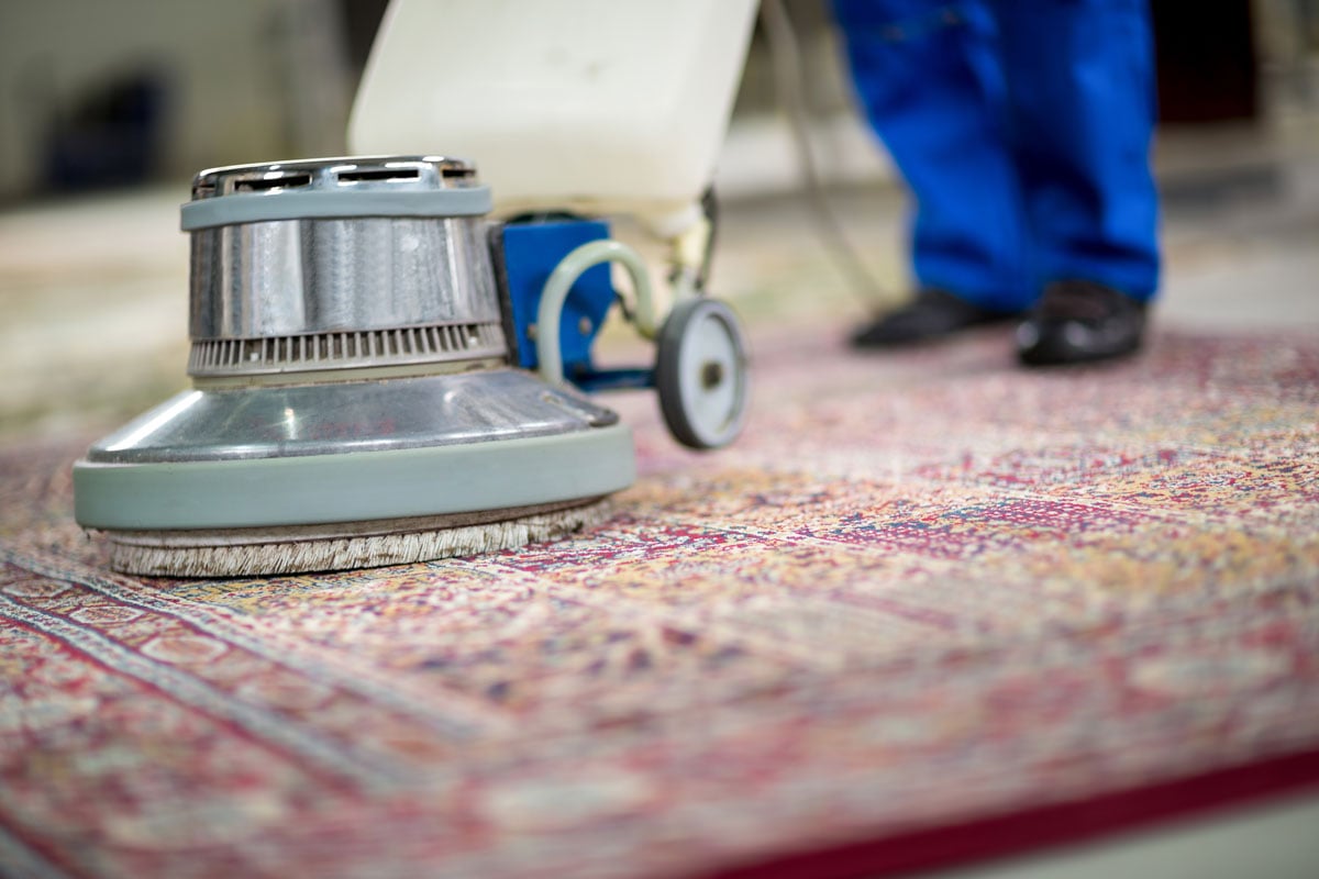 carpet cleaning professional carpet cleaning