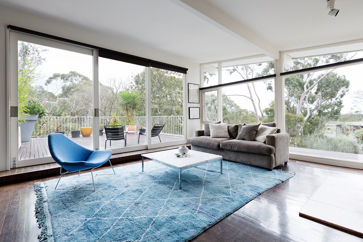 livingroom-rug livingroom centered blue rug