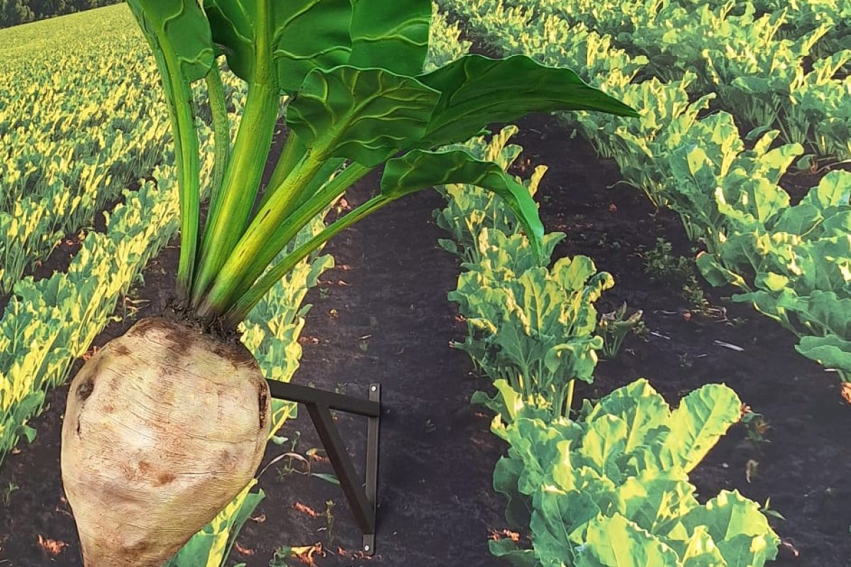 59553022-ebb3-44f6-bbb7-b13333e8cfde