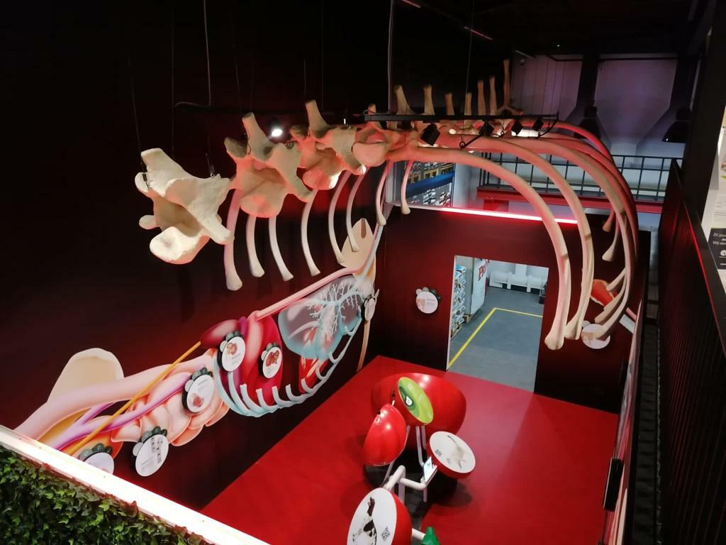 Bezoekerscentrum Prins Petfoods