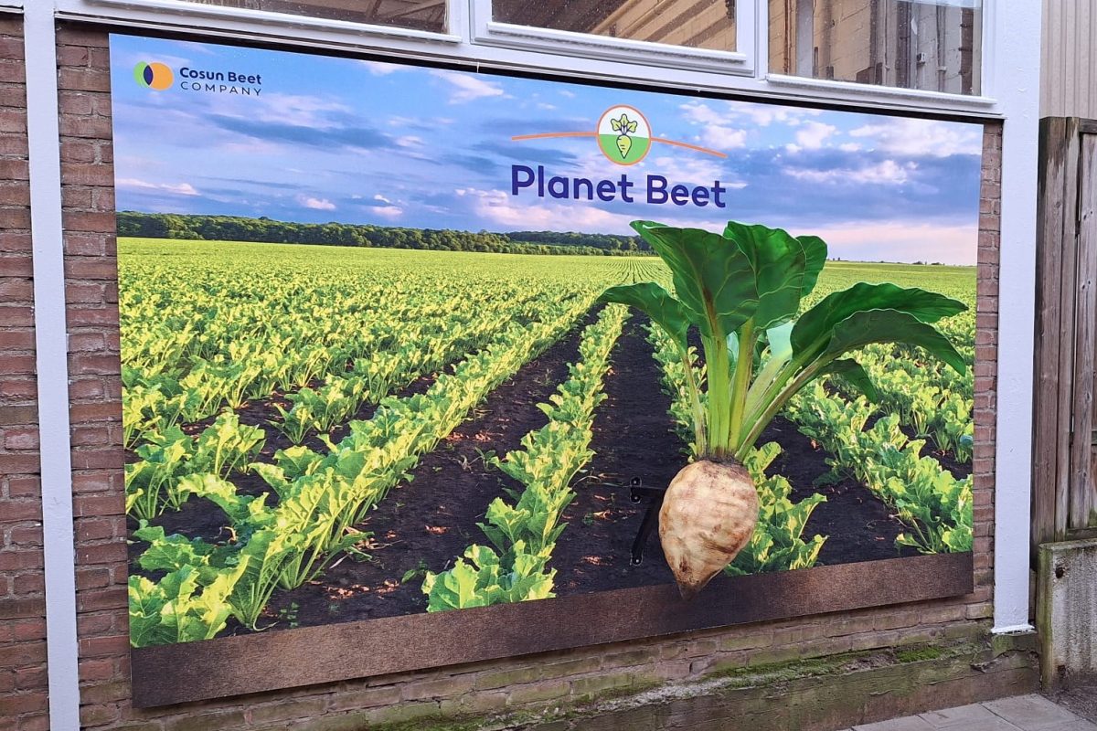 Foto's 3D suikerbiet 13-11-2023 (1) BEWERKT