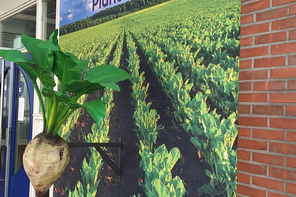 59b35473-f51f-4de5-8939-608fc55a1818