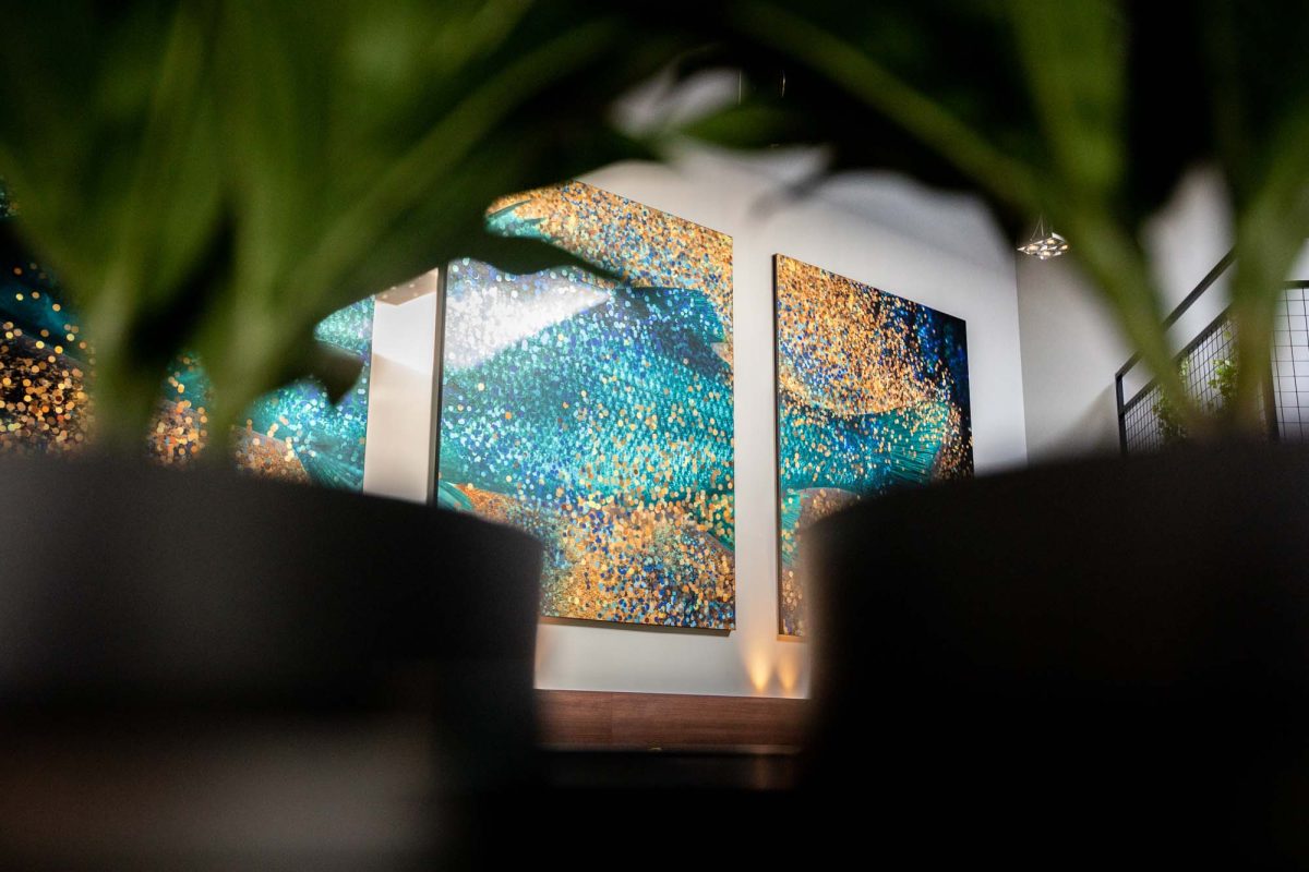 Passant_aug2018-25_1