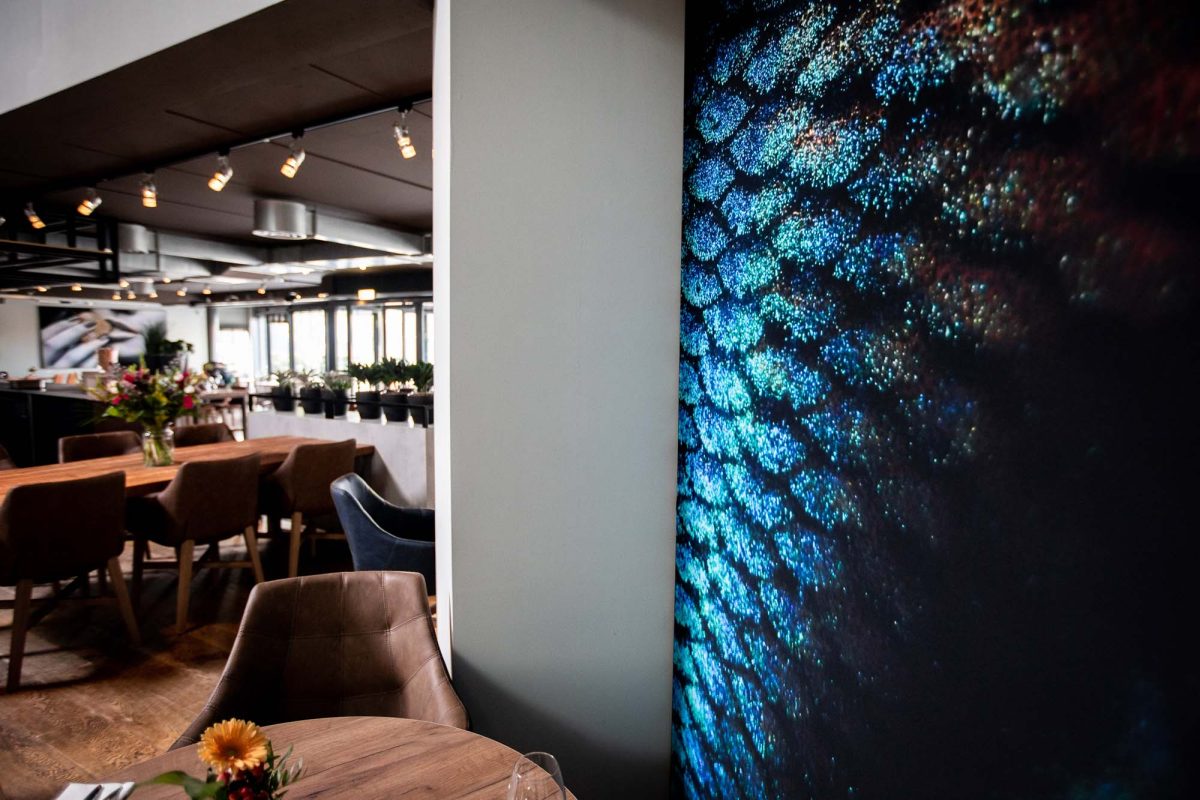 Passant_aug2018-26_1