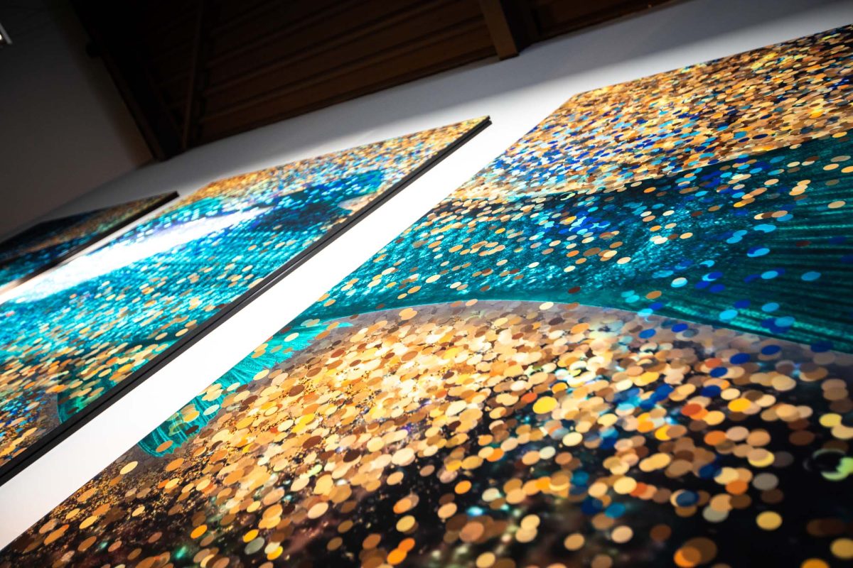 Passant_aug2018-33_1