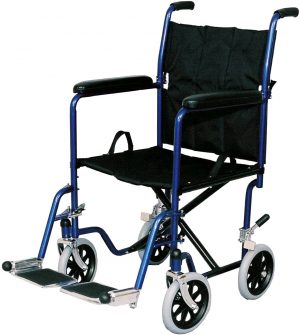 Companion Wheelchair