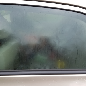 car-window (1) car-window (1)