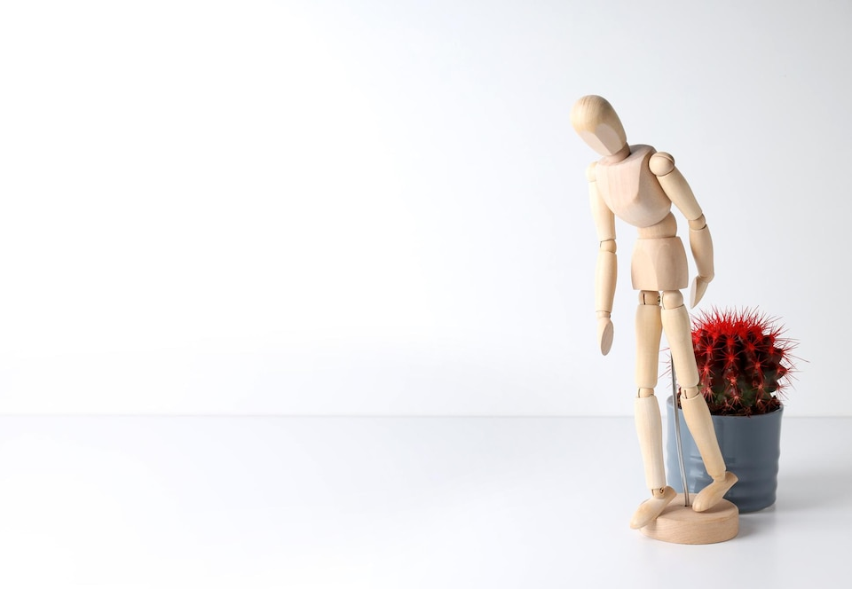 piles treatment in Chandigarh