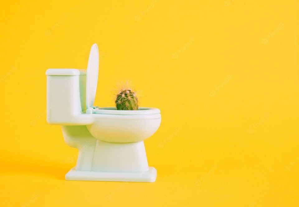 Piles doctor in Chandigarh