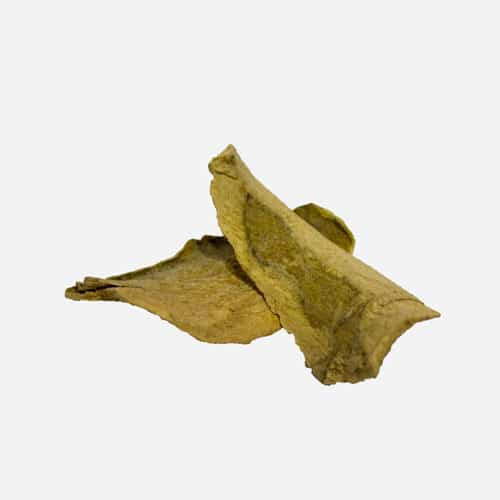 Bharangi-ki-Jadibutti.jpeg Bharangi Root