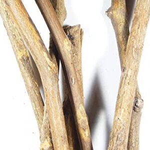 Palash-ki-Jadi.jpeg Palash ki Jadi