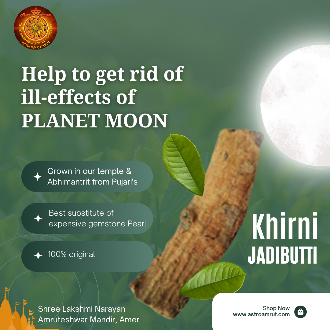 Khirni_Jadibutti Khirni_Jadibutti