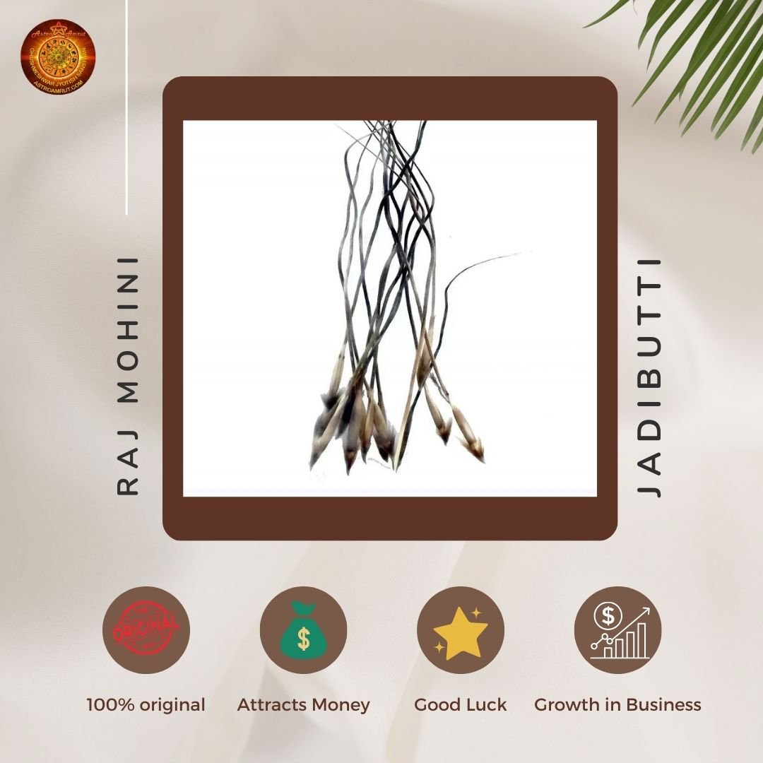 Rajmohini_Jadibutti_AstroAmrut1 Rajmohini_Jadibutti_AstroAmrut1