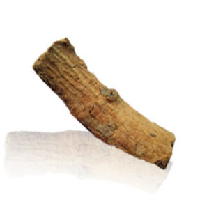 belmool_sun.jpg Belmool