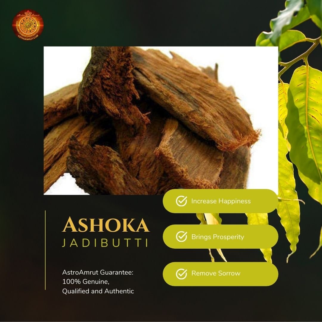 Ashoka_Jadibutti_AstroAmrut1 Ashoka_Jadibutti_AstroAmrut1