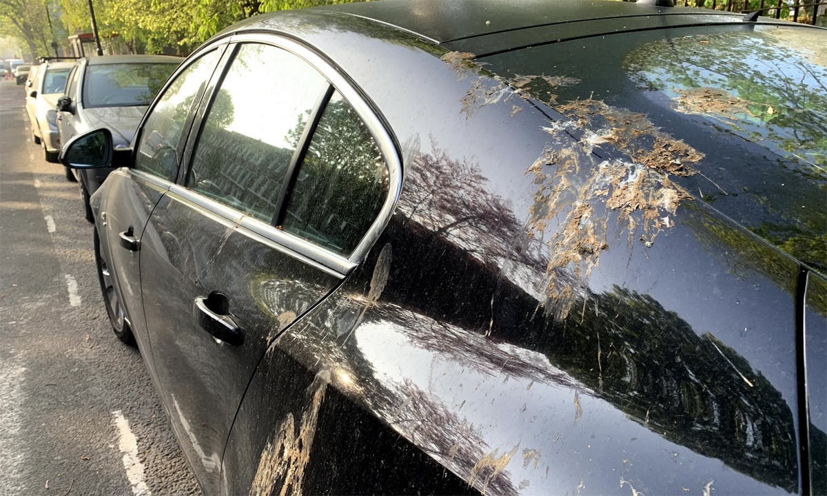 Mách bạn 7 nguyên nhân khiến lớp sơn xe ô tô bị ố màu