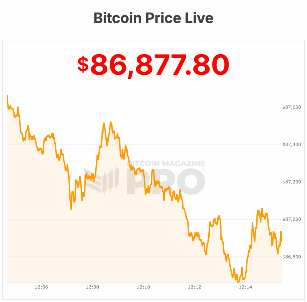 Bitcoin Price Crashes to $86,000 As Extreme Fear Hits the Market 1 Bitcoin Price